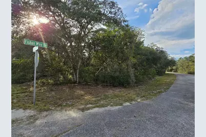 Fisher Way, Ocklawaha, FL 32179 - Photo 9
