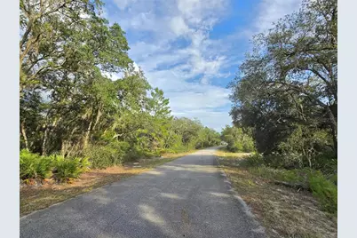 Fisher Way, Ocklawaha, FL 32179 - Photo 7