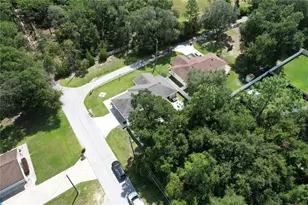 9980 SE 157th Ln, Summerfield, FL 34491 - Photo 3