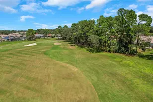 12832 SE 91st Ct, Summerfield, FL 34491 - Photo 3