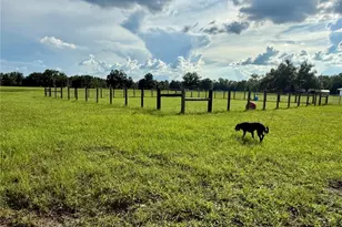 14875 Cr 751, Webster, FL 33597 - Photo 35