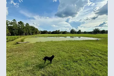 14875 Cr 751, Webster, FL 33597 - Photo 49