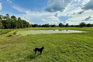 14875 Cr 751, Webster, FL 33597 - Photo 49