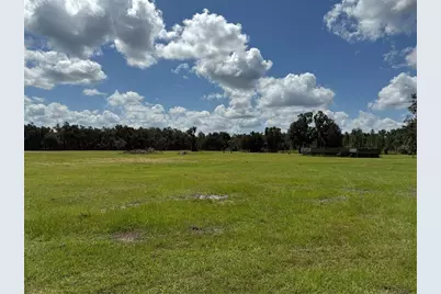 14875 Cr 751, Webster, FL 33597 - Photo 69