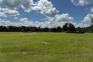 14875 Cr 751, Webster, FL 33597 - Photo 69