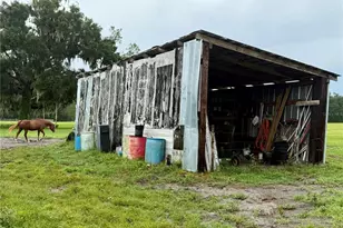 14875 Cr 751, Webster, FL 33597 - Photo 19