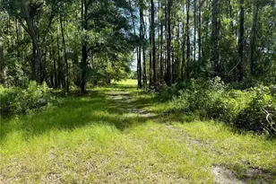 14875 Cr 751, Webster, FL 33597 - Photo 61