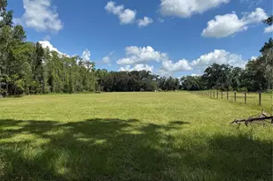 14875 Cr 751, Webster, FL 33597 - Photo 73