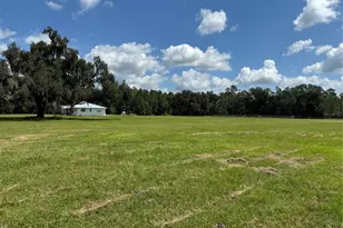 14875 Cr 751, Webster, FL 33597 - Photo 59