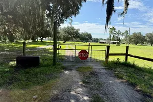 14875 Cr 751, Webster, FL 33597 - Photo 41