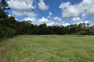 14875 Cr 751, Webster, FL 33597 - Photo 39