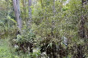 14875 Cr 751, Webster, FL 33597 - Photo 55