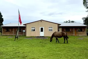 14875 Cr 751, Webster, FL 33597 - Photo 3
