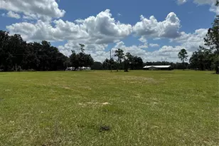 14875 Cr 751, Webster, FL 33597 - Photo 85