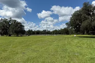14875 Cr 751, Webster, FL 33597 - Photo 29