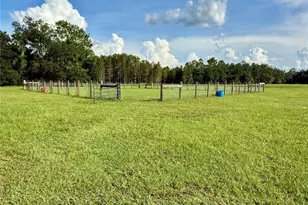 14875 Cr 751, Webster, FL 33597 - Photo 37