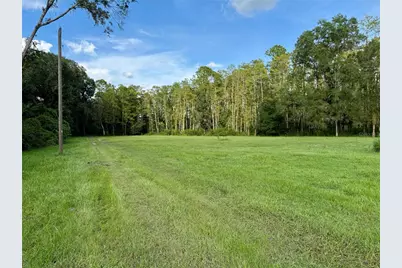 14875 Cr 751, Webster, FL 33597 - Photo 75