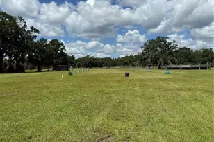 14875 Cr 751, Webster, FL 33597 - Photo 71