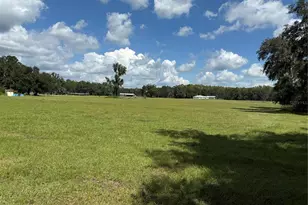 14875 Cr 751, Webster, FL 33597 - Photo 51