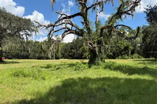 14875 Cr 751, Webster, FL 33597 - Photo 53