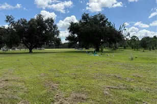 14875 Cr 751, Webster, FL 33597 - Photo 77