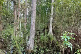 14875 Cr 751, Webster, FL 33597 - Photo 57