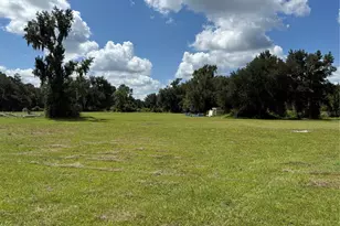 14875 Cr 751, Webster, FL 33597 - Photo 67