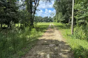14875 Cr 751, Webster, FL 33597 - Photo 81