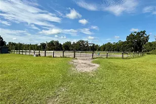 14875 Cr 751, Webster, FL 33597 - Photo 27