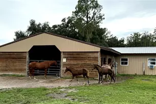 14875 Cr 751, Webster, FL 33597 - Photo 5