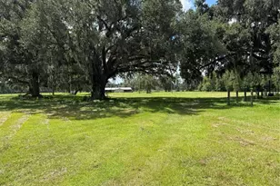 14875 Cr 751, Webster, FL 33597 - Photo 1