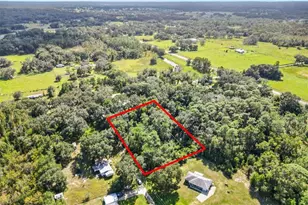 Tbd SW 28th St, Bushnell, FL 33513 - Photo 1