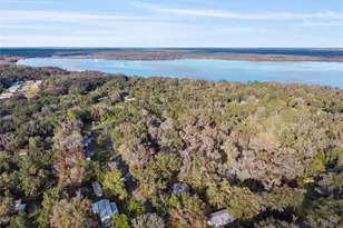 3809 Cr 405N, Lake Panasoffkee, FL 33538 - Photo 59