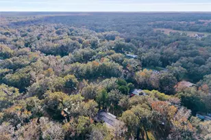 3809 Cr 405N, Lake Panasoffkee, FL 33538 - Photo 69