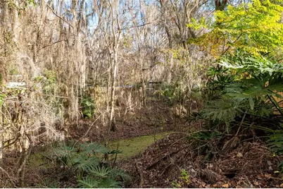 3809 Cr 405N, Lake Panasoffkee, FL 33538 - Photo 55