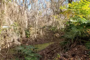 3809 Cr 405N, Lake Panasoffkee, FL 33538 - Photo 55