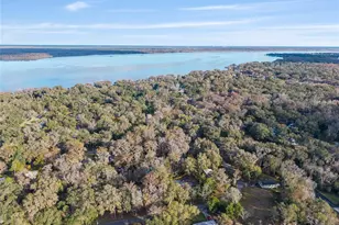 3809 Cr 405N, Lake Panasoffkee, FL 33538 - Photo 57