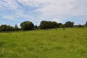 7826 Cr 736, Center Hill, FL 33514 - Photo 53