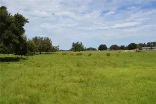 7826 Cr 736, Center Hill, FL 33514 - Photo 55
