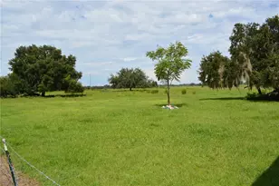 7826 Cr 736, Center Hill, FL 33514 - Photo 57