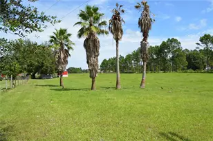 7826 Cr 736, Center Hill, FL 33514 - Photo 31