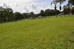 7826 Cr 736, Center Hill, FL 33514 - Photo 63