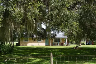 7826 Cr 736, Center Hill, FL 33514 - Photo 5