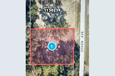 525 Ogden Avenue, Umatilla, FL 32784 - Photo 1