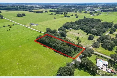 3076 County Road 202, Oxford, FL 34484 - Photo 5