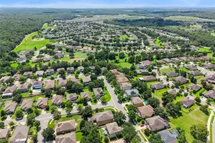 30412 Tokara Terrace, Mount Dora, FL 32757 - Photo 119