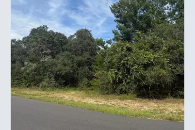 1721 E Colfax Lane, Hernando, FL 34442 - Photo 1
