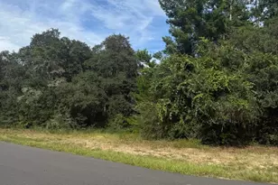 1721 E Colfax Ln, Hernando, FL 34442 - Photo 1