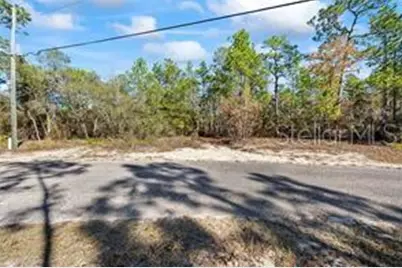 8941 N Farrington Drive, Citrus Springs, FL 34433 - Photo 5