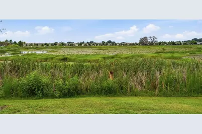 5238 Dragonfly Drive, Wildwood, FL 34785 - Photo 21